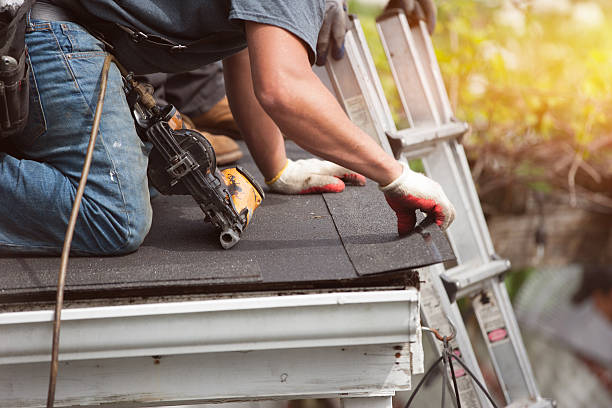 Best Local Roofing Companies  in Arlington, VA